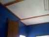 Repair, Paint, Trim And Floor Coating