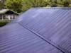 Metal Roofing